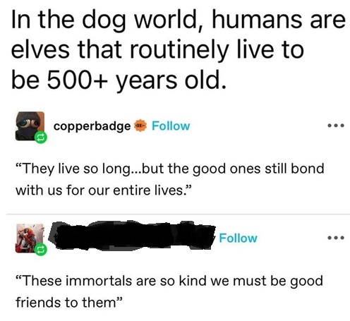 dogs humans.jpg