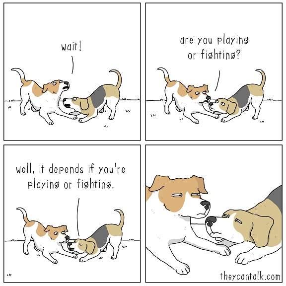 dogs playing fighting.jpg