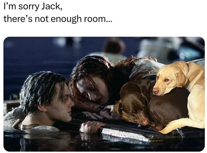 dogtanic.jpg