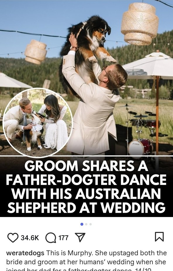 dogter.jpg