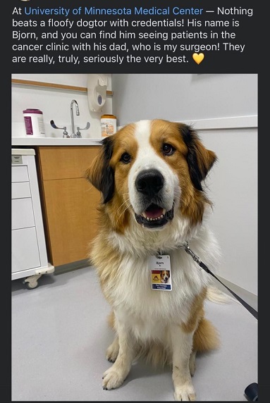 dogtor.jpg
