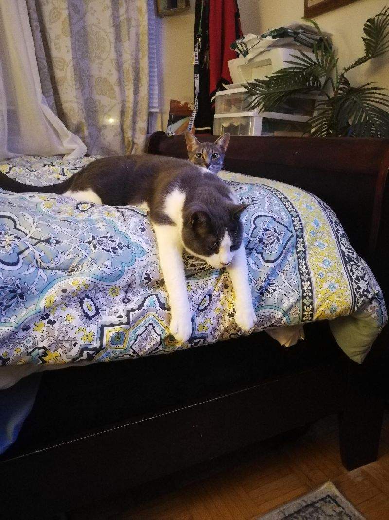 Doin a stretch.jpg