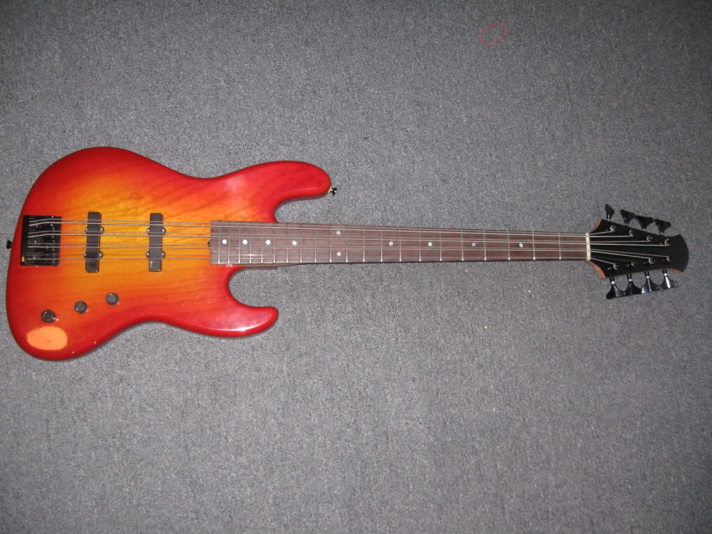 Dolan-Warmoth1.jpg