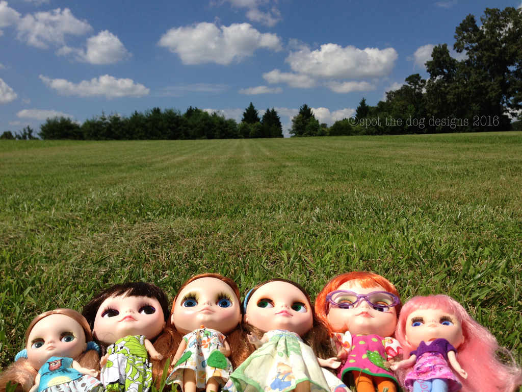 Dollgroup.PNG
