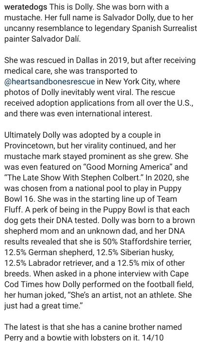 dolly dog 2.jpg