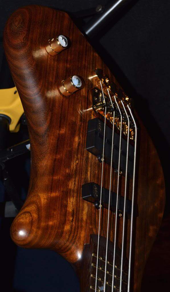 Dolph14_zpsebf4082a.jpg