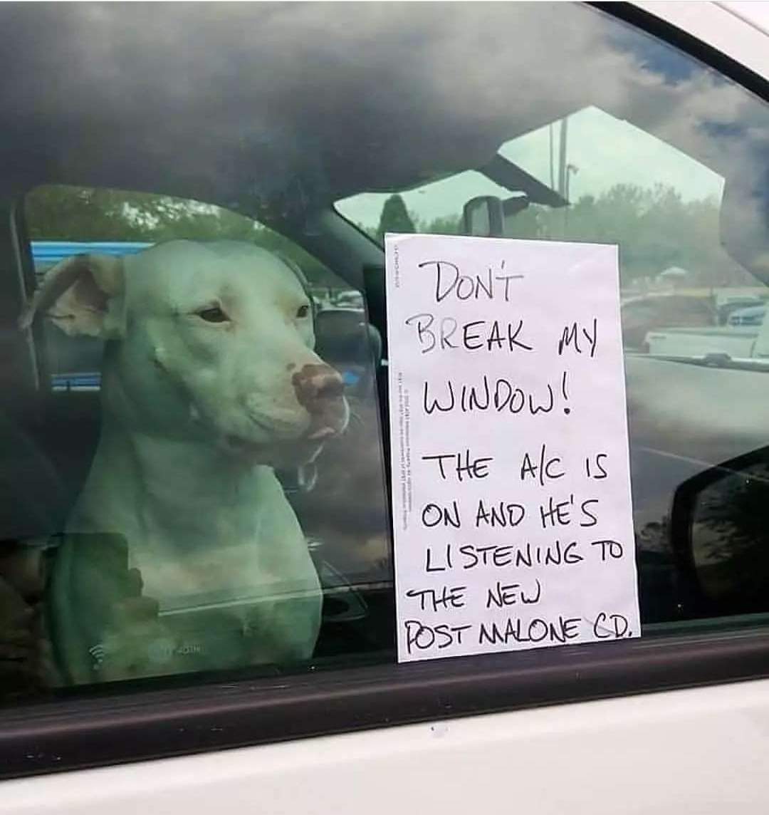 dont break window.jpg