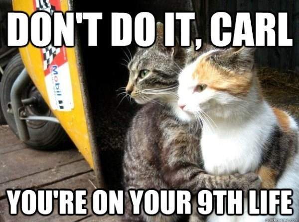 dont-do-it-carl.jpeg