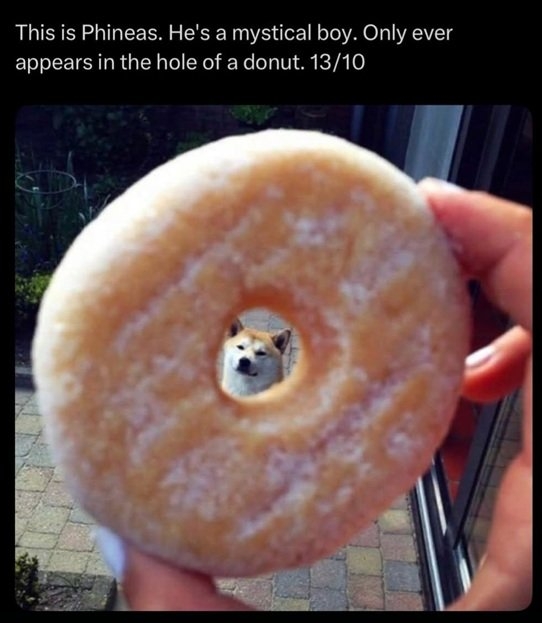 donut dog.jpg
