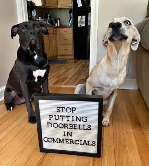 doorbell dogs.jpg