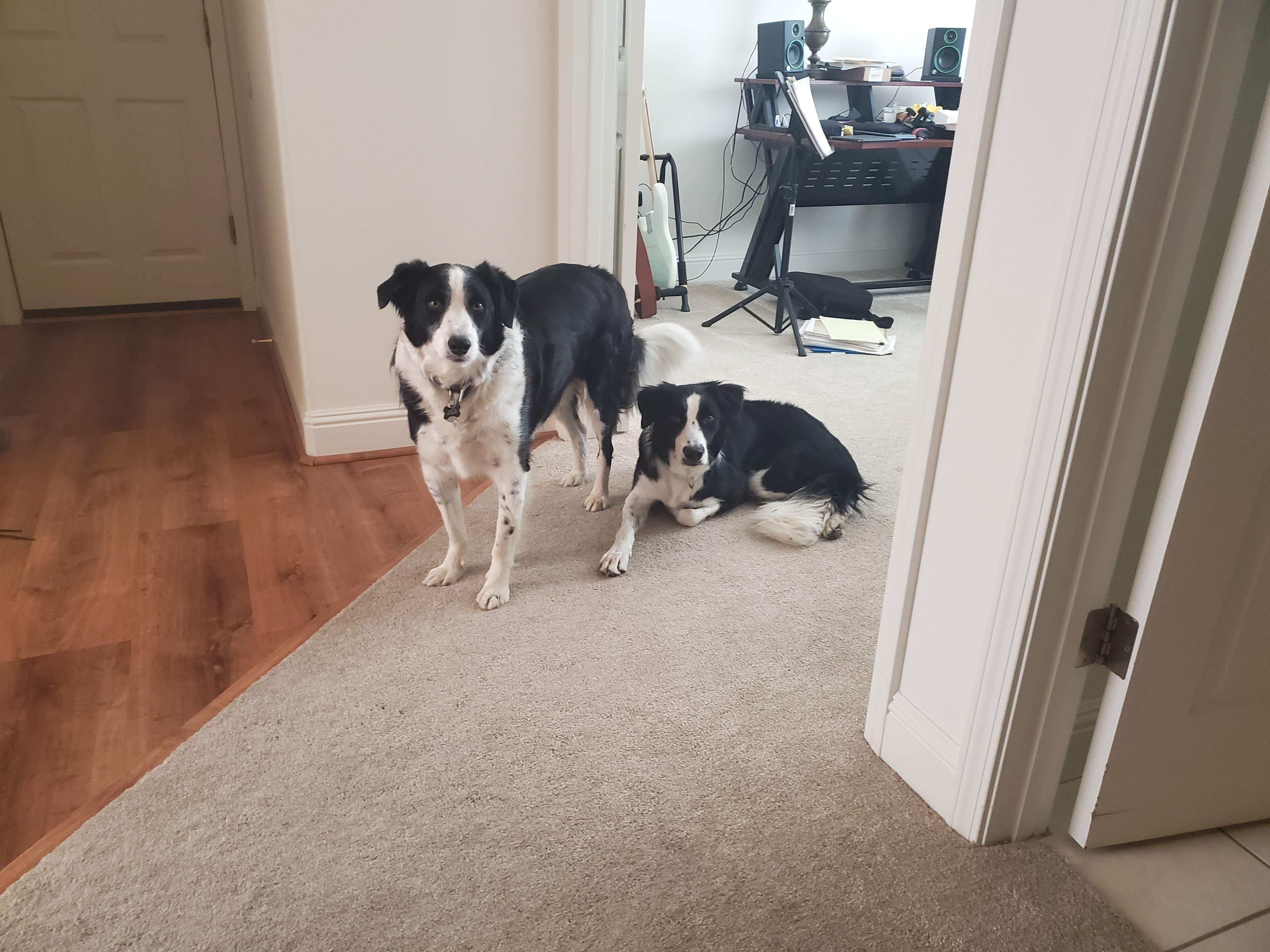 Double Trouble.jpg