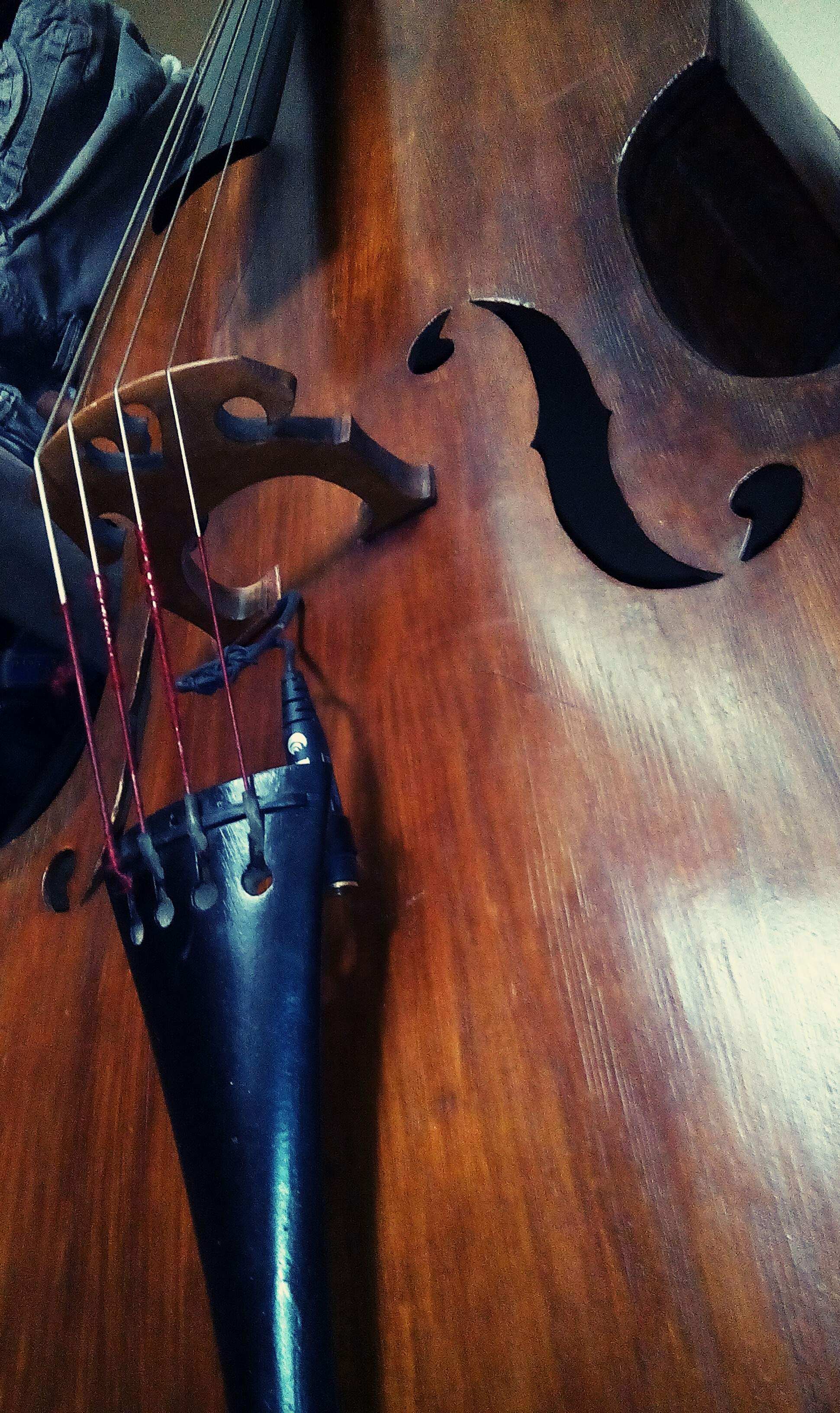 double_bass.JPG
