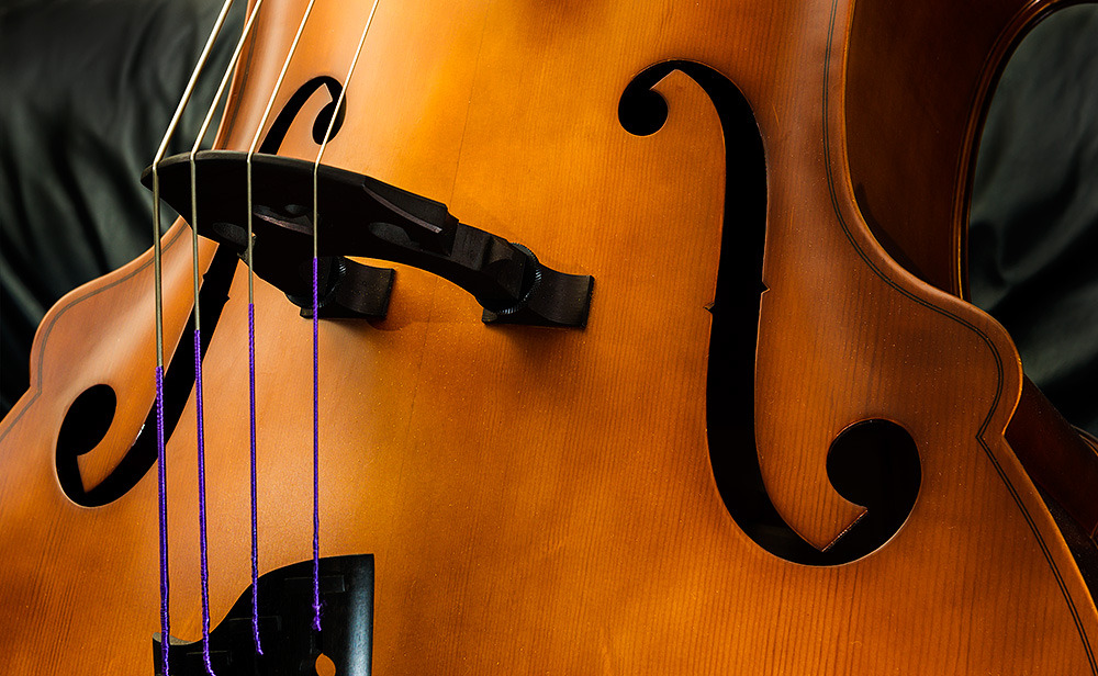 doublebass1.jpg