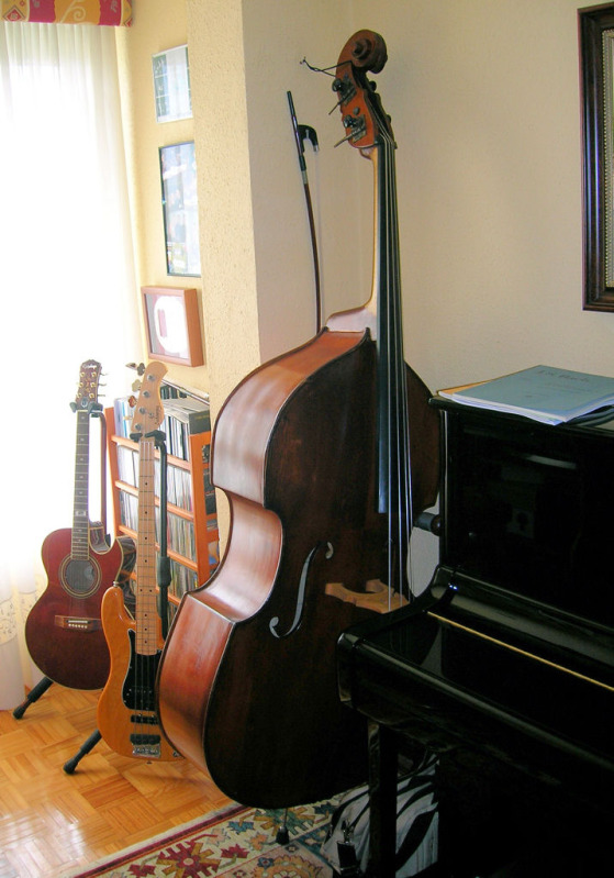 Doublebasswallstand1.jpg