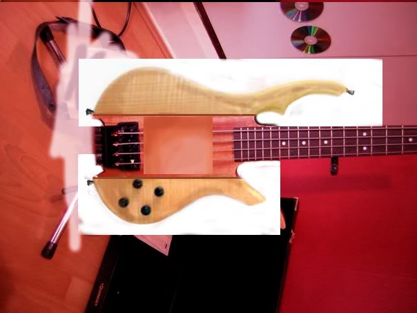 doublecutaway1.jpg