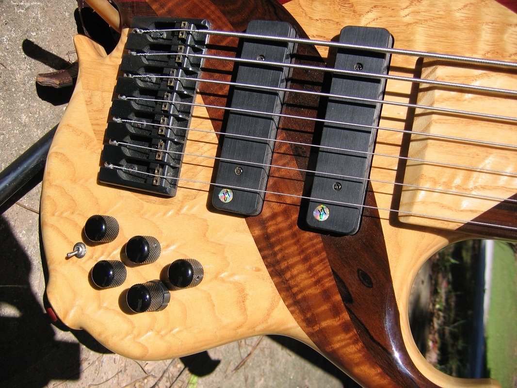 doubleneck%20closeup%20fretless1.jpg