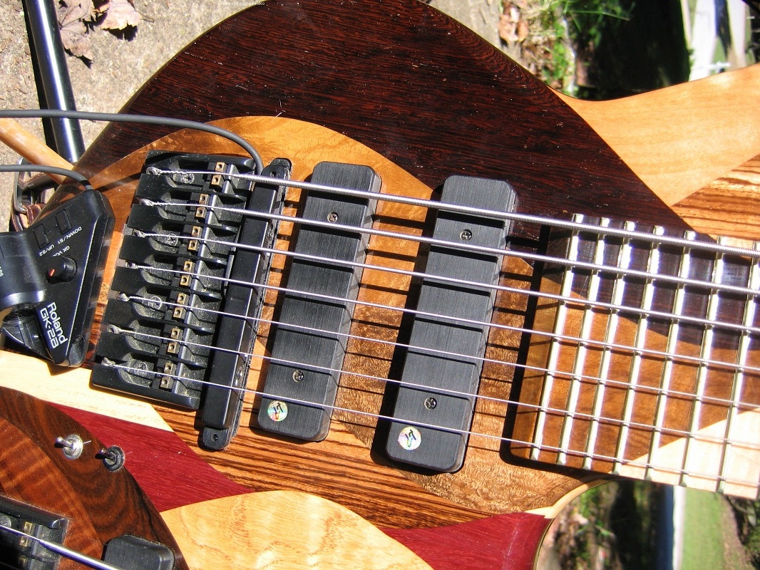 doubleneck%20closeup%20fretted1.jpg