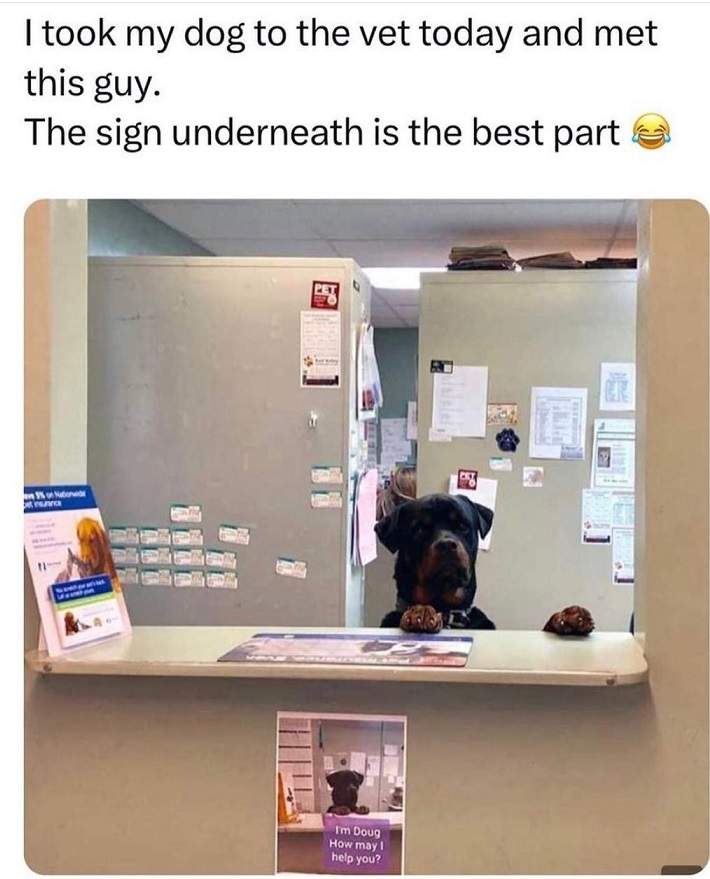 doug dog.jpg