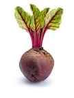 download.jpeg