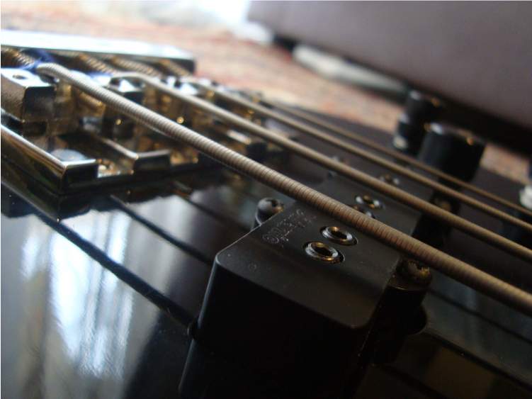 DP123.JPG
