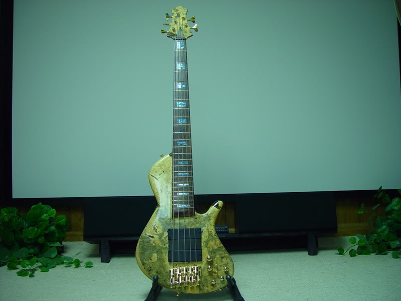 DPCustomAbaloneInlays009.jpg