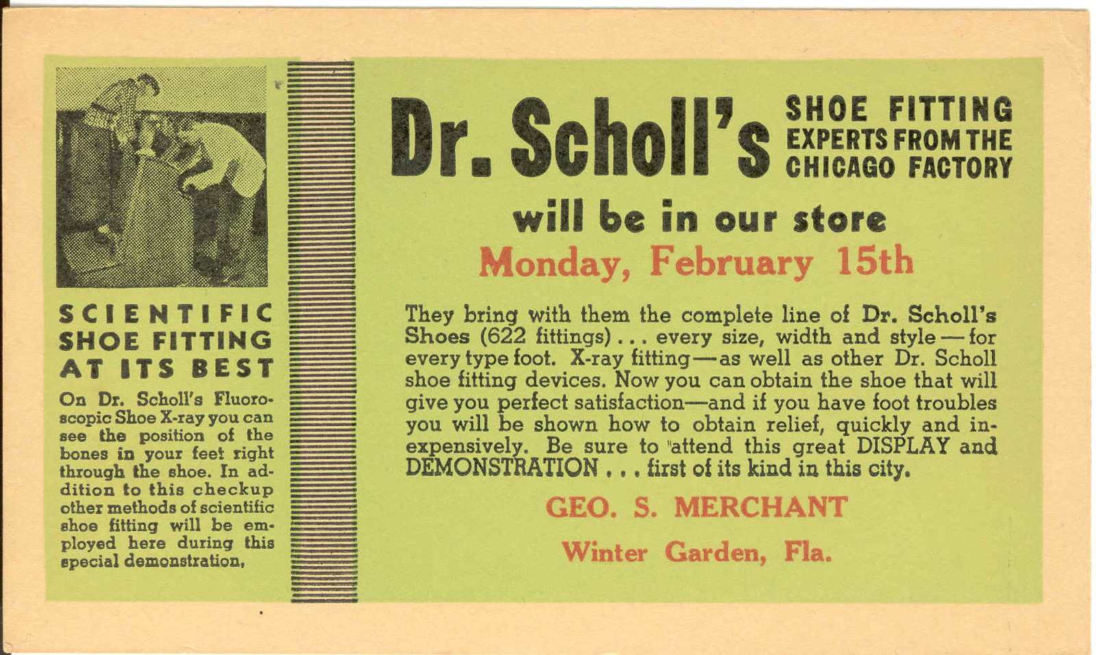 Dr._Scholls.jpg
