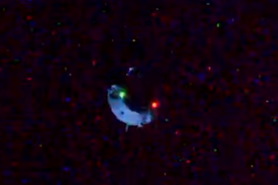 Dragon-08.png