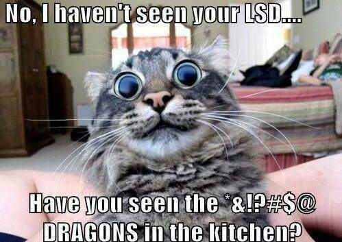 dragons[1].jpg