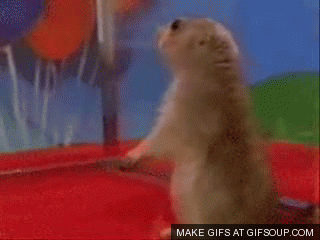 dramatic-chipmunk-o.gif