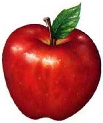 draw-an-apple-01.jpg