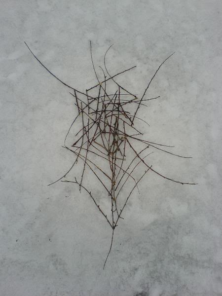 drc_sticks.jpg