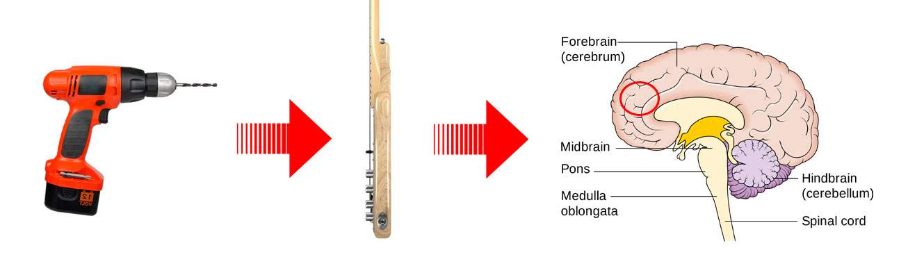 drill_bass.jpg