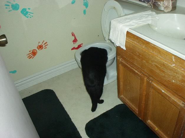 drink.jpg