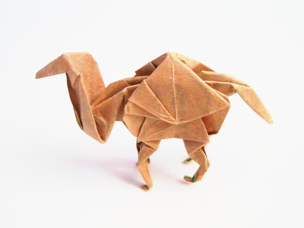 Dromedary%20Camel.jpg