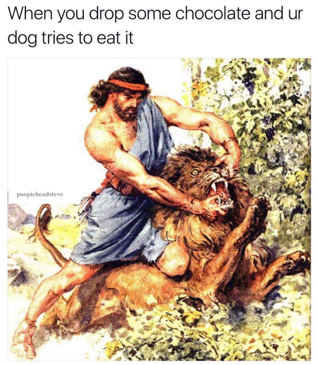 drop choclate dog.jpg