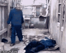 drunk-leading-the-drunk.gif