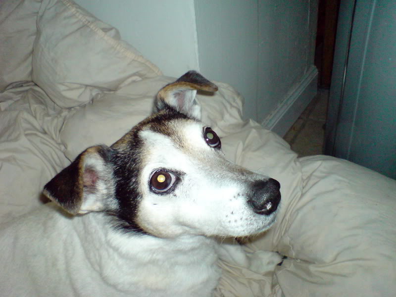 DSC00002.jpg