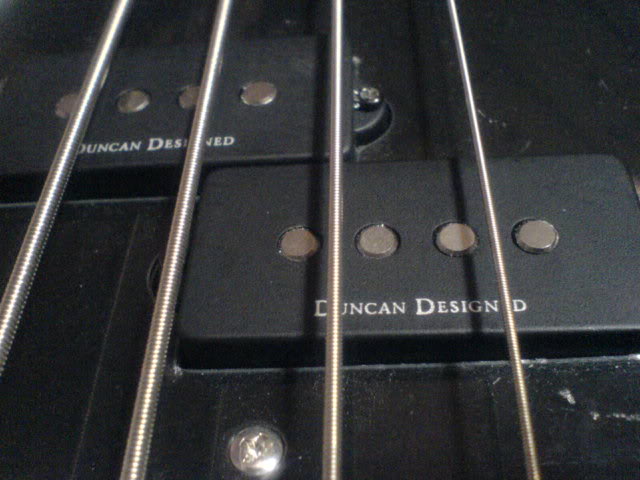 DSC00005.jpg