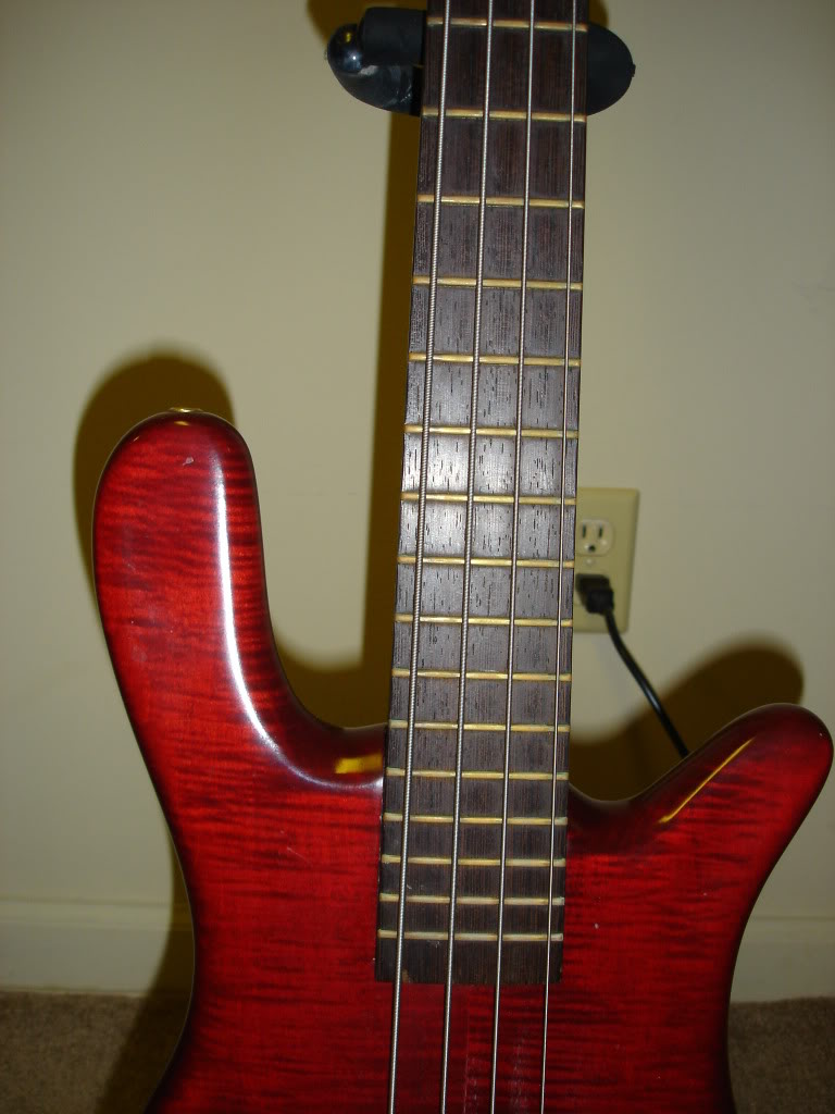 DSC00005.jpg