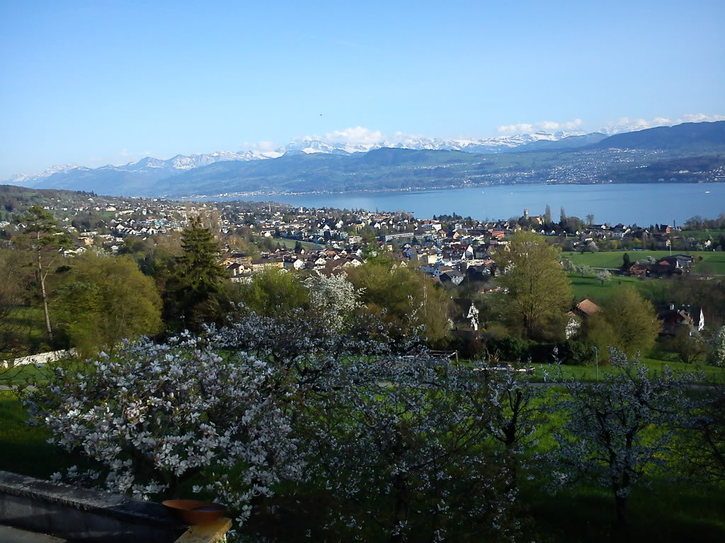 DSC00009.jpg