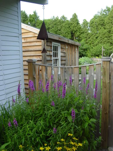 DSC00020.jpg