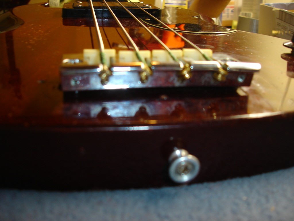 DSC00024.jpg