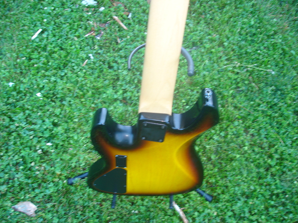 DSC00041.jpg