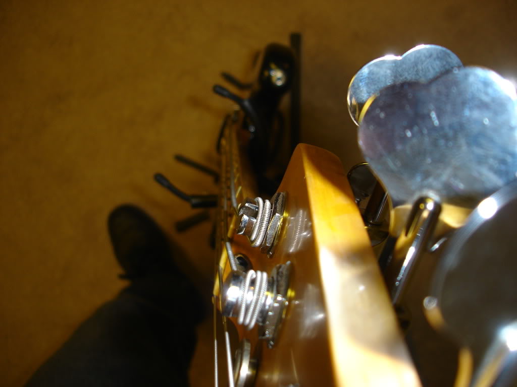 DSC00065.jpg