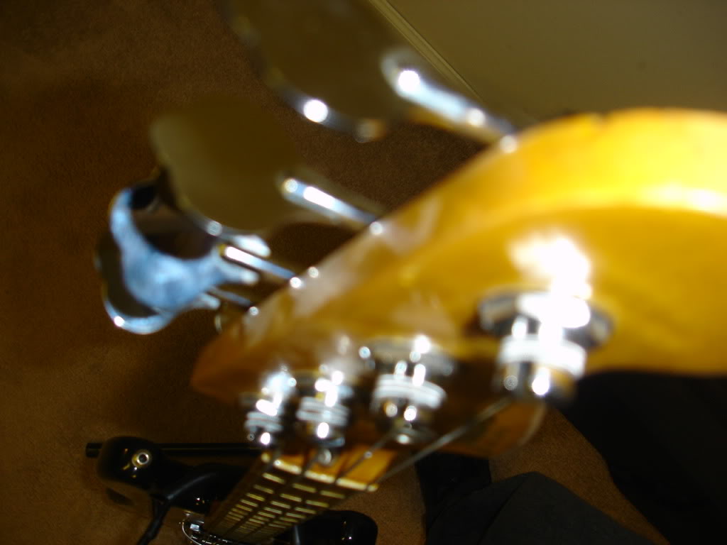 DSC00068.jpg