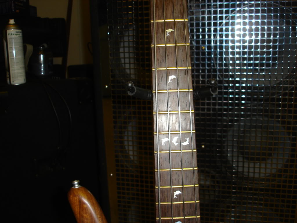 DSC00083.jpg