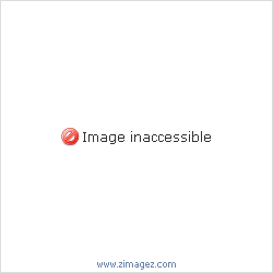 dsc000871.gif