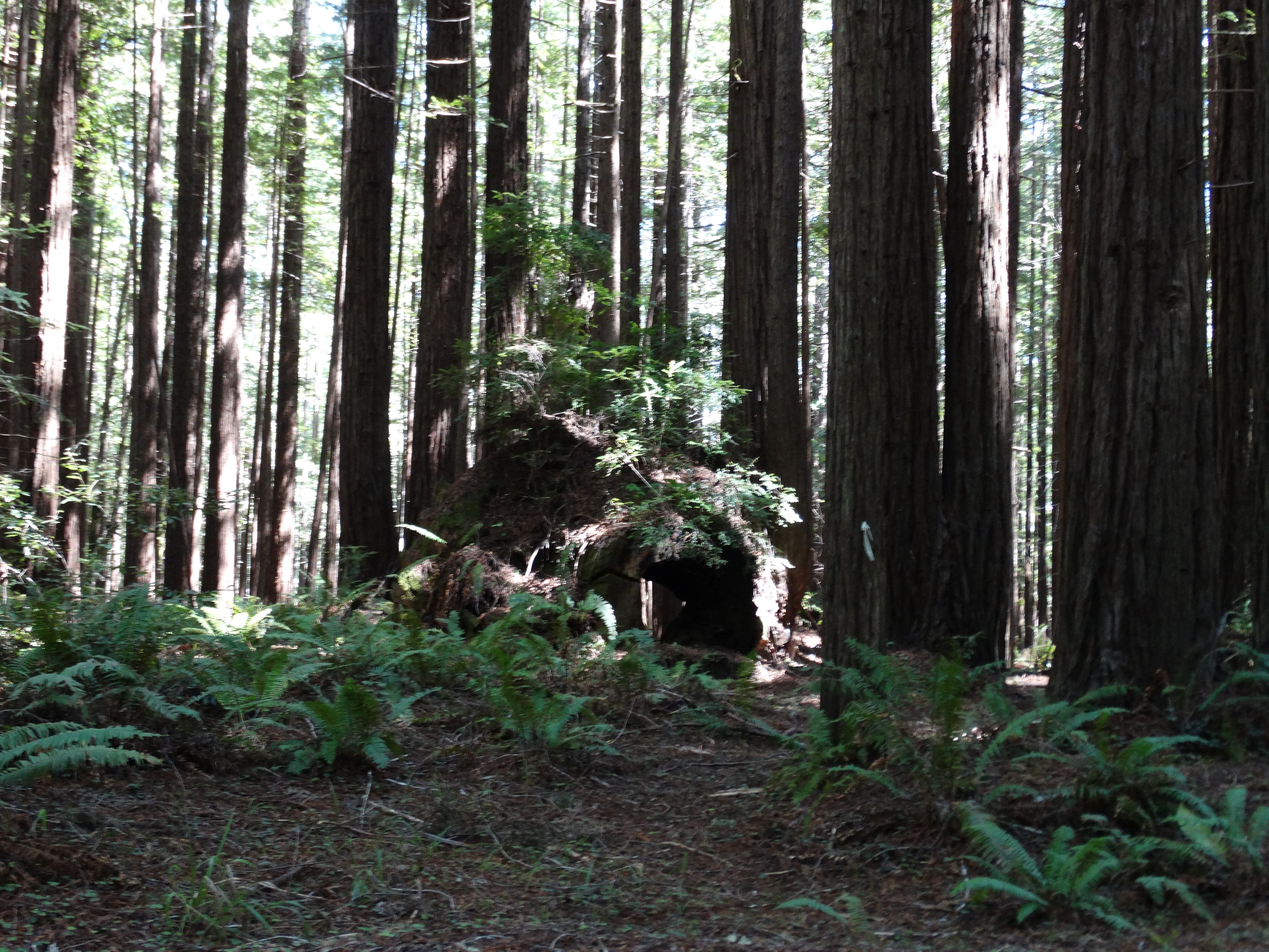 DSC00091.JPG
