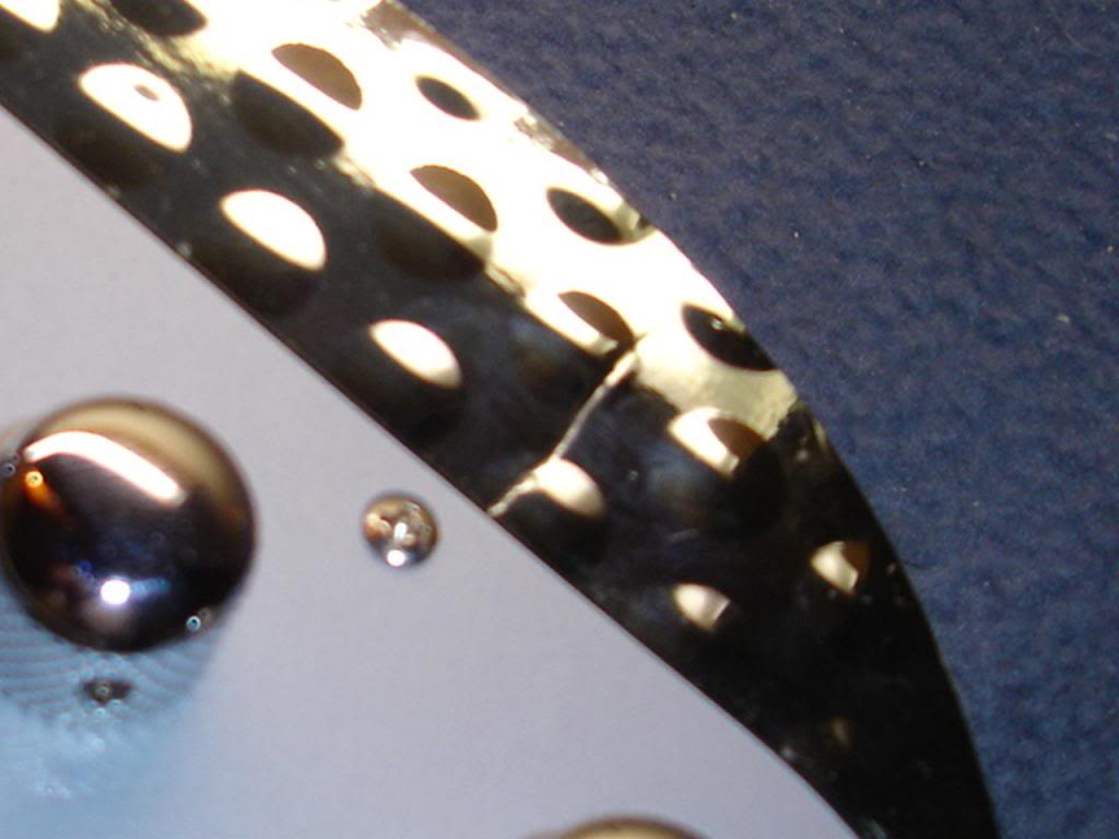 DSC00095.jpg