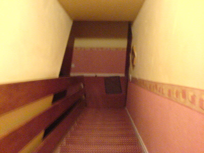 DSC00097.jpg